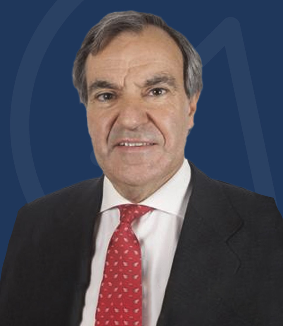 Don Luis Peral Guerra